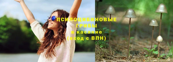 PSILOCYBIN Волоколамск